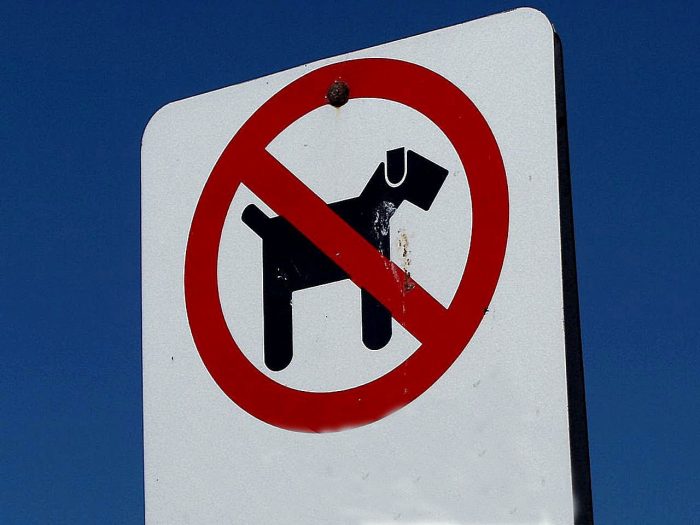 Как по закону выгуливать собаку